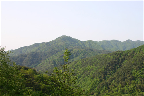 풍취산의 신록 (2) 